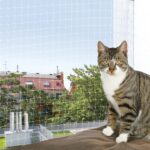 Cat-Protection-Net-150x150-1