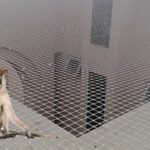 monkey-protection-net-150x150-1