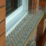 bird-spikes-1-150x150-1